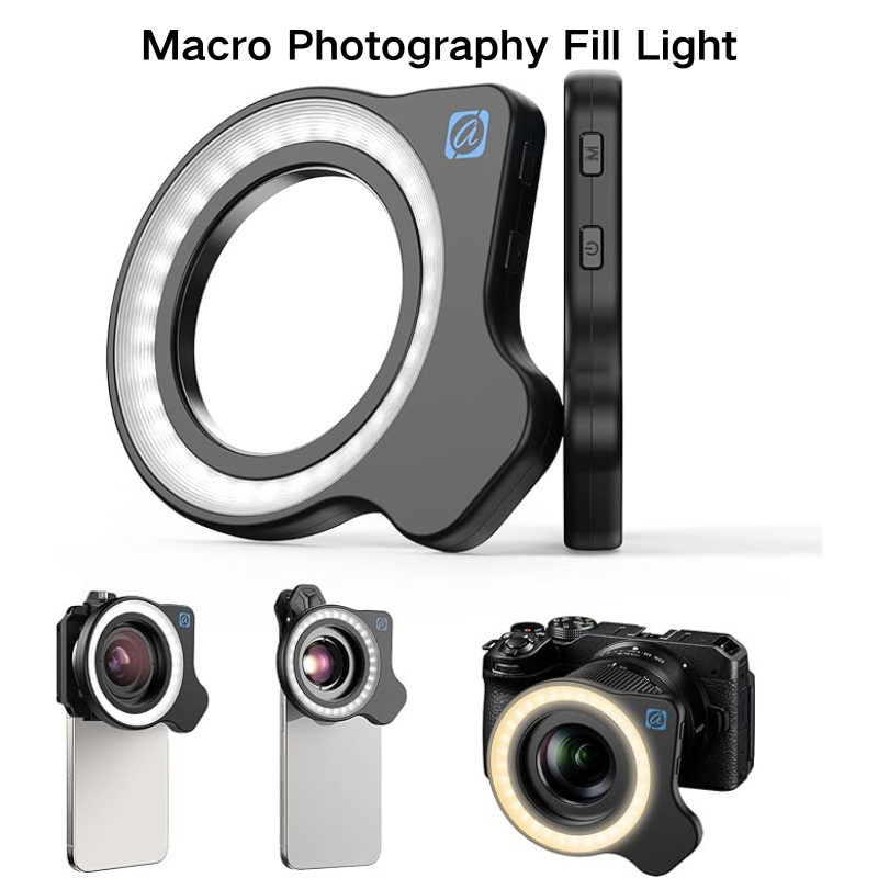 Photography Lighting Design - Lumière de remplissage pour photographie macro